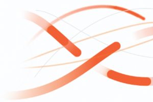 Prisma-Access