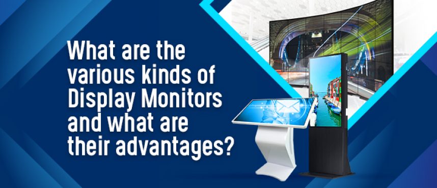 What are the various kinds of Display Monitors and what are their advantages?