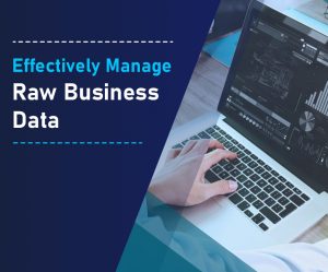 Effectively Manage Raw Business Data