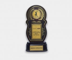 Appreciation Award