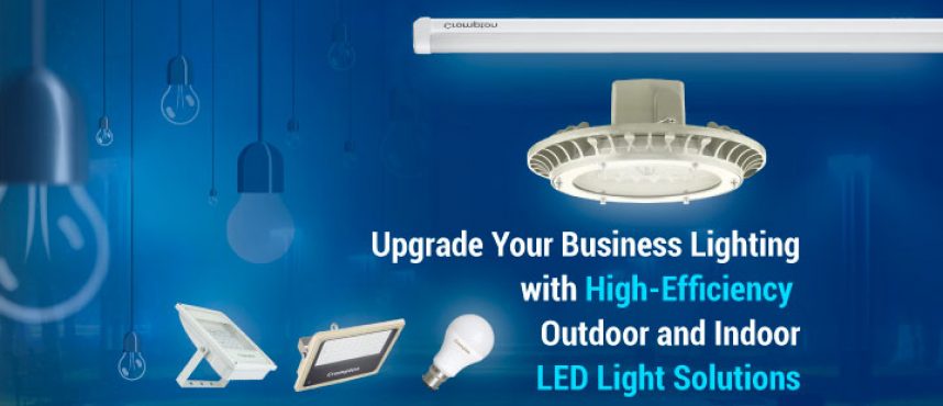 High-Efficiency Outdoor and Indoor LED Light Solutions