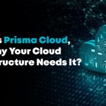 What Is Prisma Cloud, and Why Your Cloud Infrastructure Needs It?
