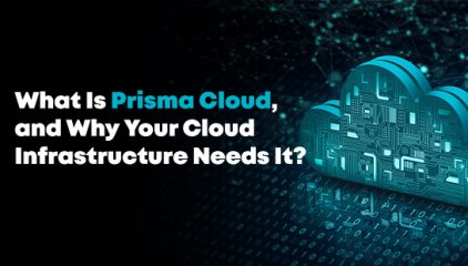 What Is Prisma Cloud, and Why Your Cloud Infrastructure Needs It?